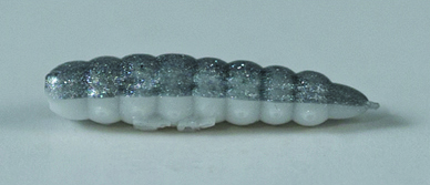 LARVA DEL MIELE 25 mm Ø 5.5 mm in file da 6 (Col. BIANCO - ARGENTO) 54 pezzi